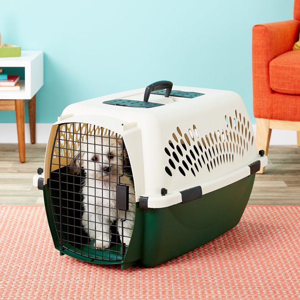Petmate Ruff Maxx Dog & Cat Kennel, Off White/Green, 26-in slide 1 of 9