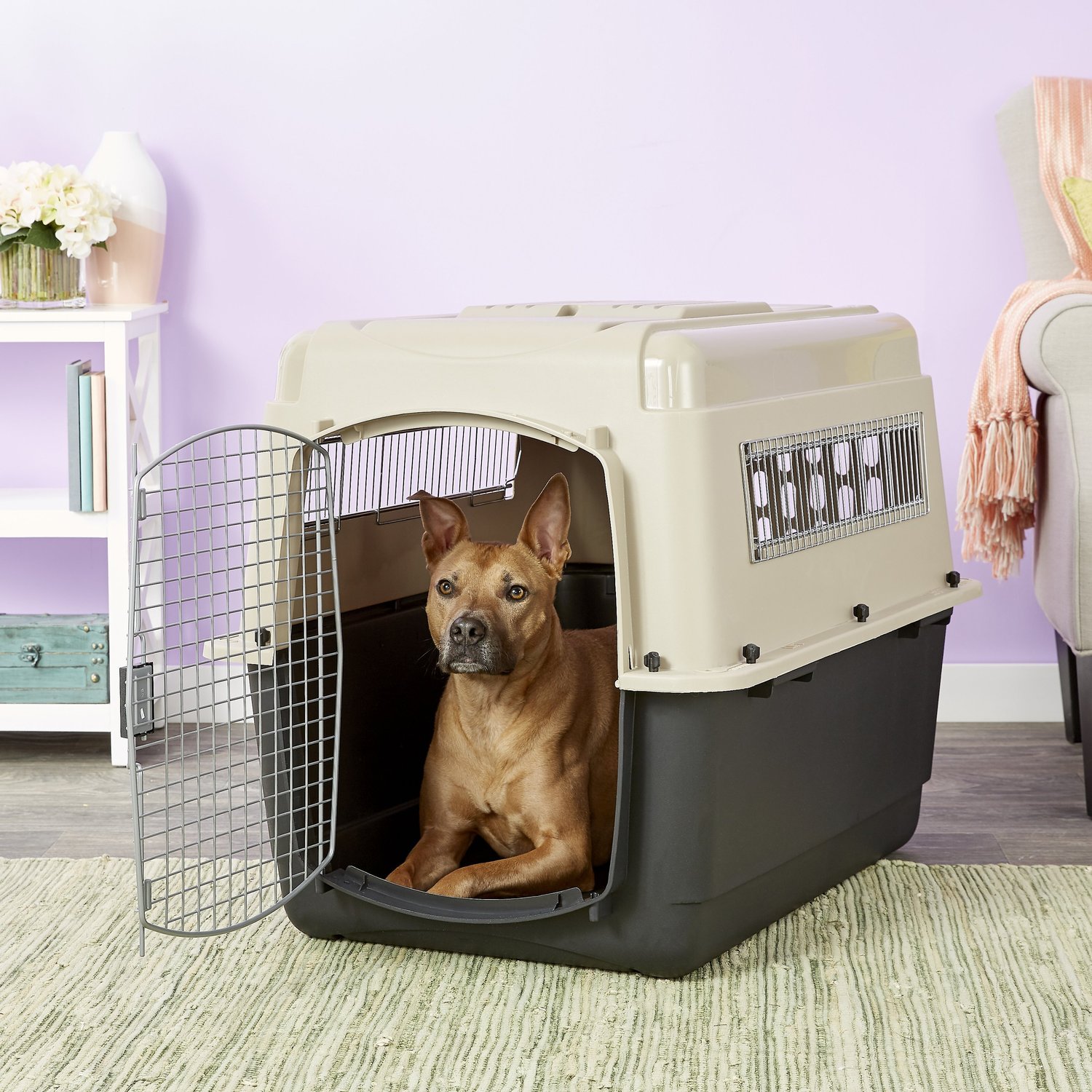 Which Dog Crate Is Best