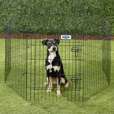 Petmate 8-Panel Wire Dog Exercise Pen with Door, Black, slide 1 of 1