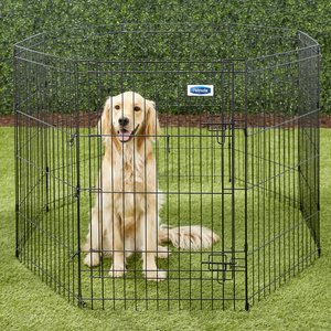 Petmate 8-Panel Wire Dog Exercise Pen with Door, Black, Large