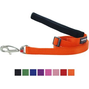 Red Dingo Classic Nylon Dog Leash, Orange, Small: 6-ft long, 5/8-in wide