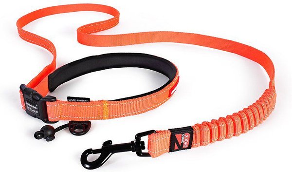 EzyDog Road Runner Dog Leash, Orange slide 1 of 5