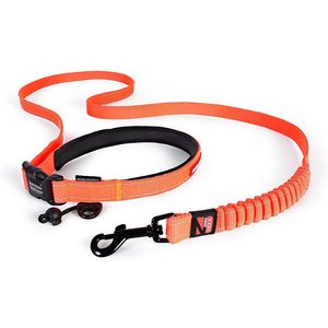 EzyDog Road Runner Dog Leash, Orange