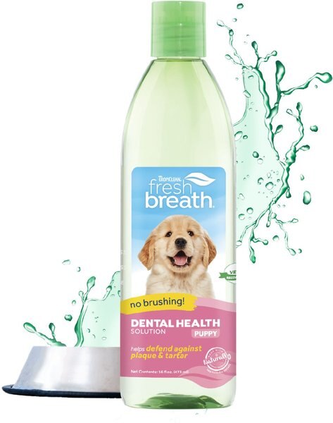 TropiClean Fresh Breath Dental Health Solution Puppy Dental Water Additive, 16-oz bottle slide 1 of 10