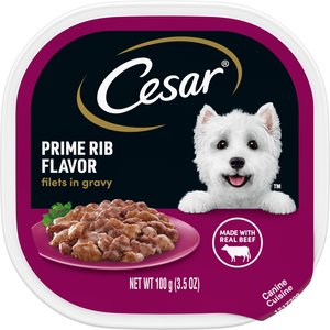 Cesar Filets in Gravy Prime Rib Dog Food Trays, 3.5-oz, case of 24