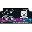 Cesar Filets in Gravy Beef Multipack Dog Food Trays, 3.5-oz, case of 12