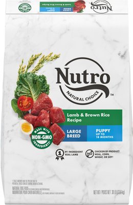 NUTRO Wholesome Essentials Large Breed 