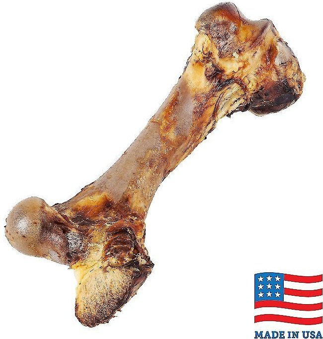 femur bone dog chew