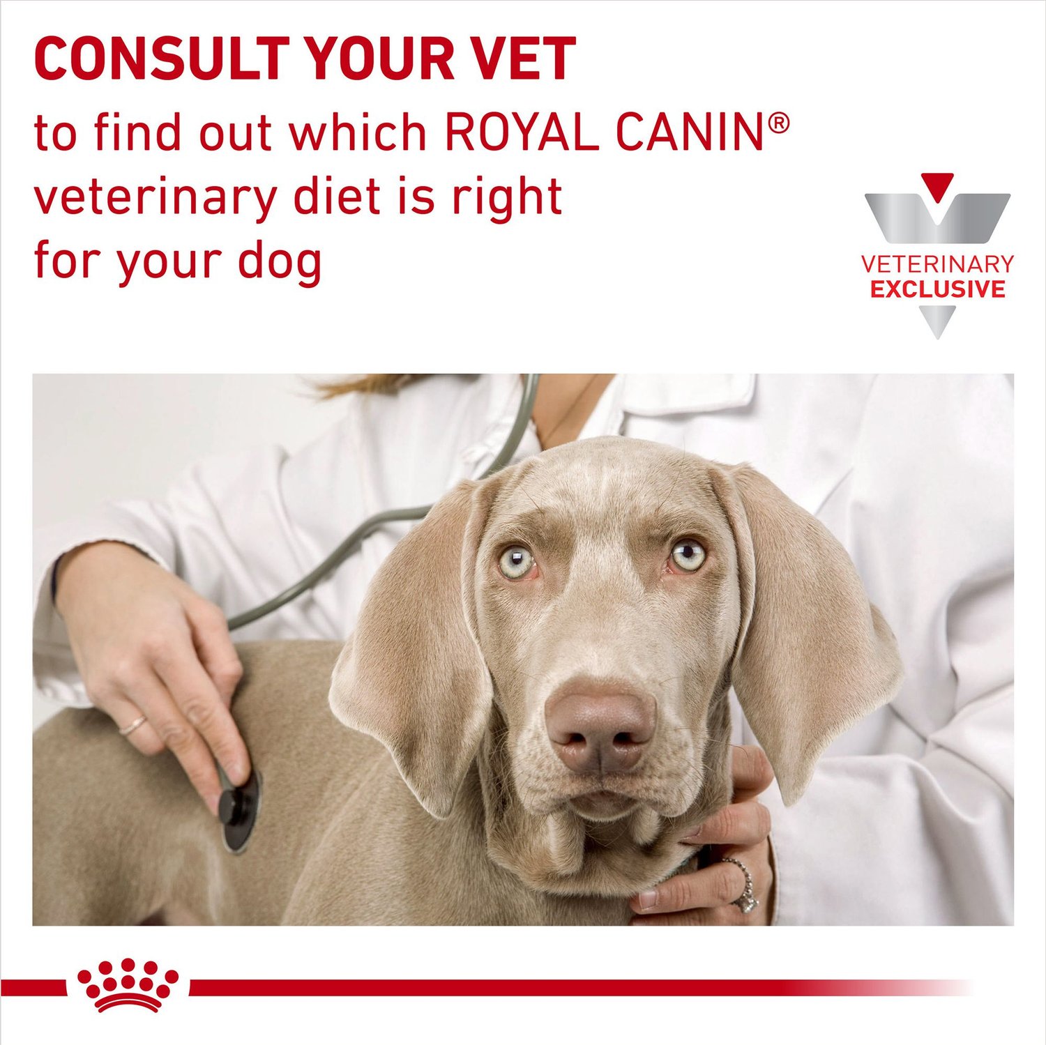 royal canin veterinary diet ultamino dry dog food