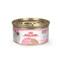Royal Canin Feline Health Nutrition Loaf in Sauce Canned Kitten Food, 3-oz, case of 24