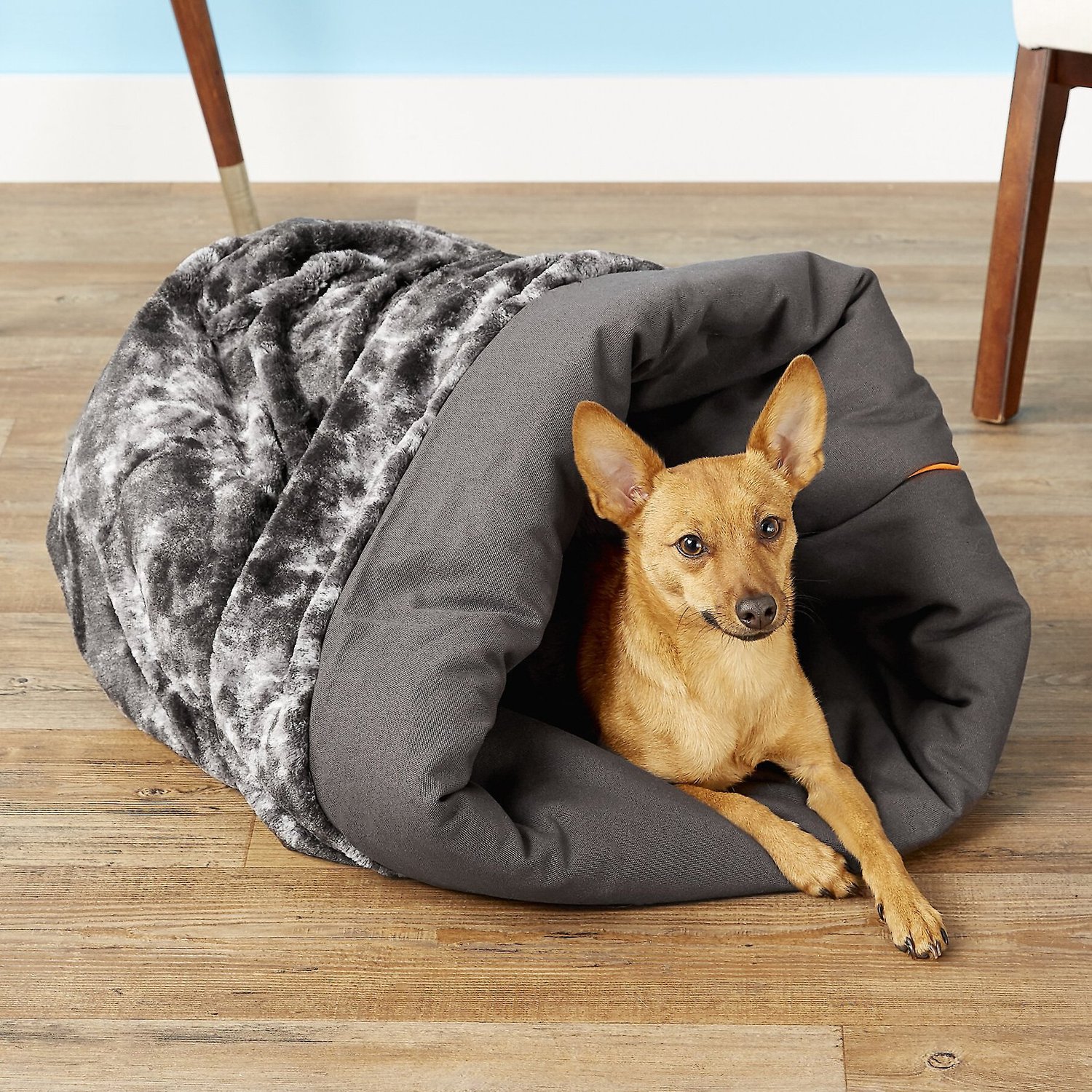 Dog lounging in convertible pet bed