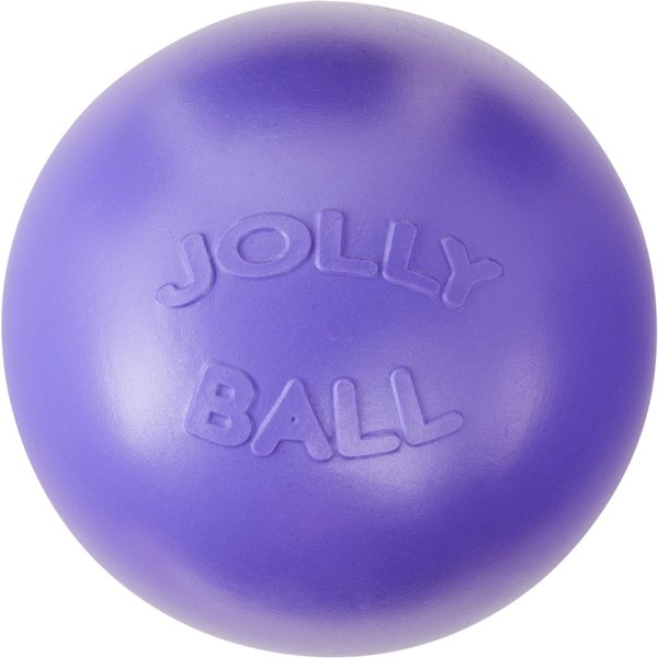 Jolly Pets 6-Inch Push-n-Play Purple