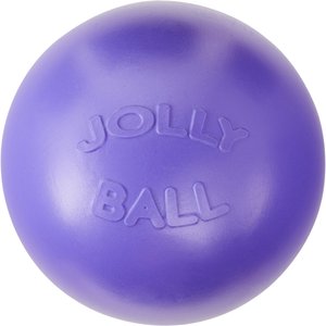 Jolly Pets 10" Push-n-Play Ball Dog Toy, Purple