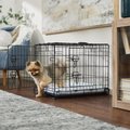 Frisco Fold & Carry Double Door Collapsible Wire Dog Crate, 24 inch