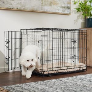 Frisco Fold & Carry Single Door Collapsible Wire Dog Crate, 22 inch