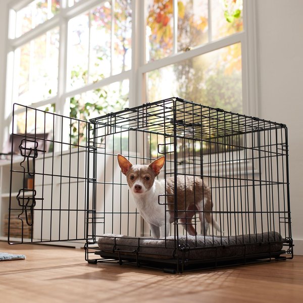 Frisco Fold & Carry Single Door Collapsible Wire Dog Crate, 24 inch slide 1 of 9