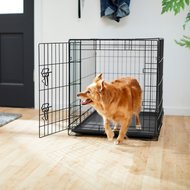 Frisco Fold & Carry Single Door Dog Crate, 36-in