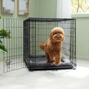 Frisco Fold & Carry Single Door Collapsible Wire Dog Crate, 42 inch