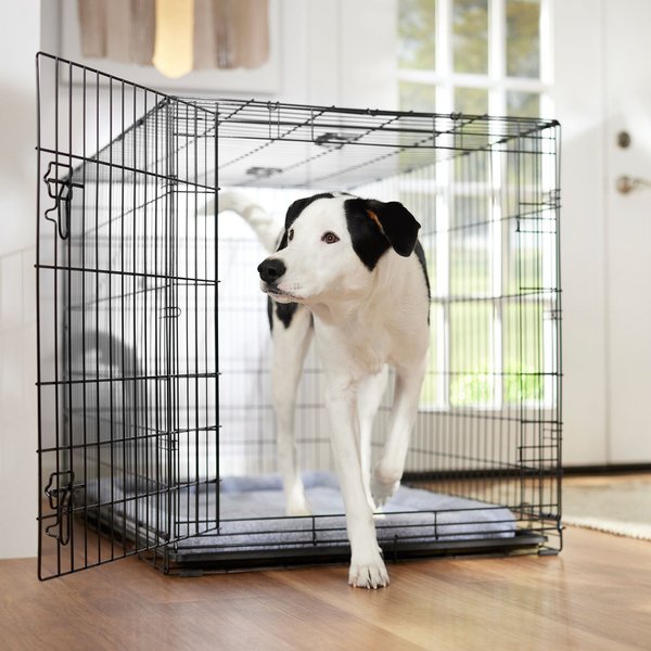 Frisco Fold & Carry Single Door Collapsible Wire Dog Crate, 48 inch slide 1 of 9