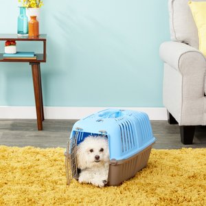 MidWest Spree Plastic Dog & Cat Kennel, Blue, 19-in
