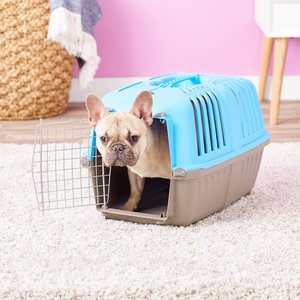 MidWest Spree Plastic Dog & Cat Kennel, Blue, 22-in