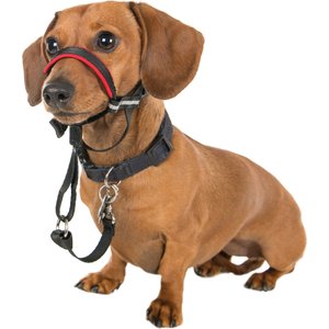Halti OptiFit Nylon Dog Headcollar, Small: 12 to 15.5-in neck