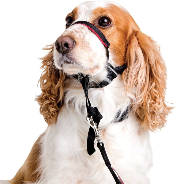 Halti OptiFit Nylon Dog Headcollar, Medium: 15 to 20-in neck slide 1 of 9