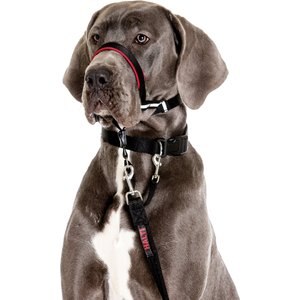 Halti OptiFit Nylon Dog Headcollar, Large: 19 to 27-in neck
