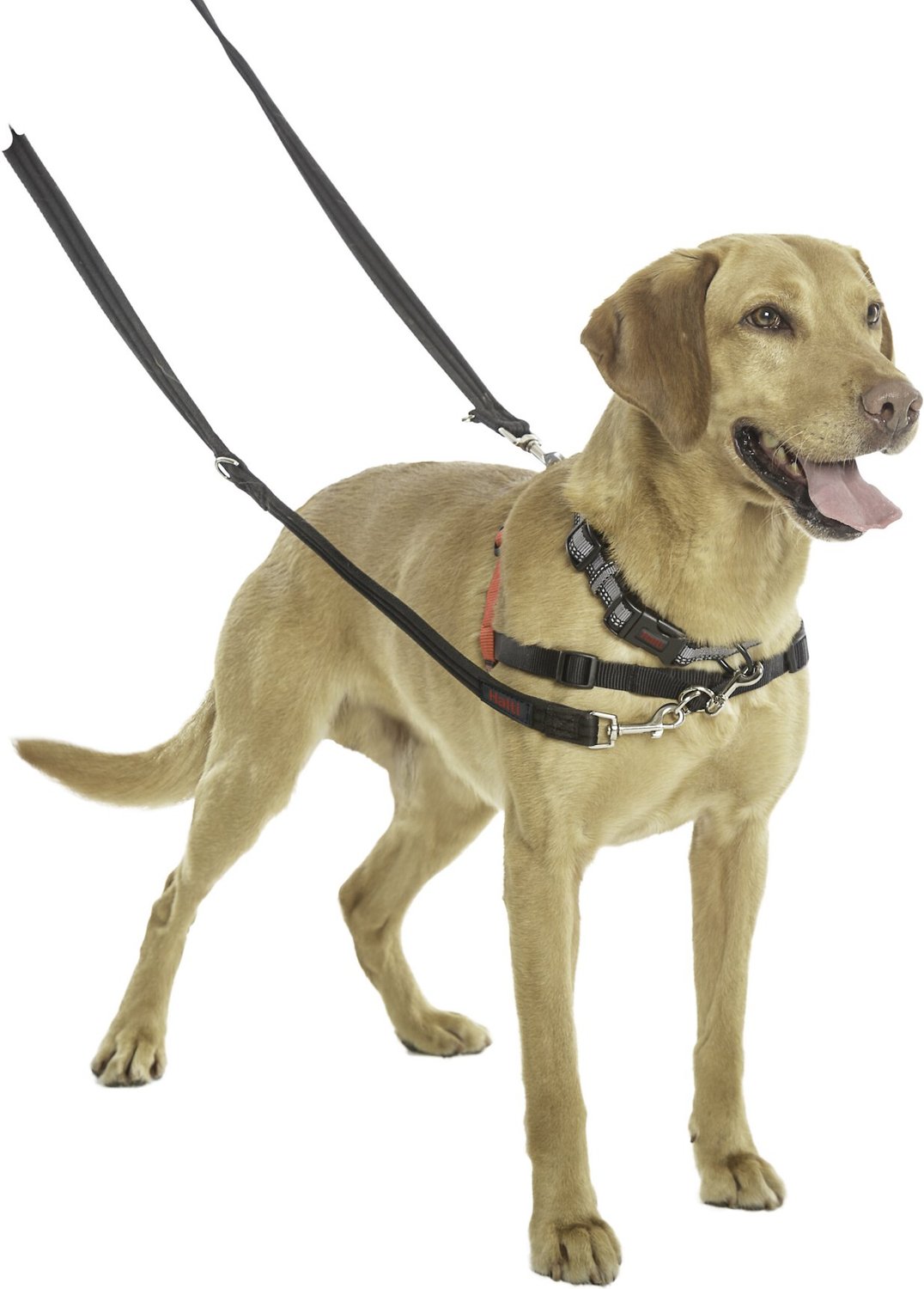 Halti Training Dog Lead, Black, Small