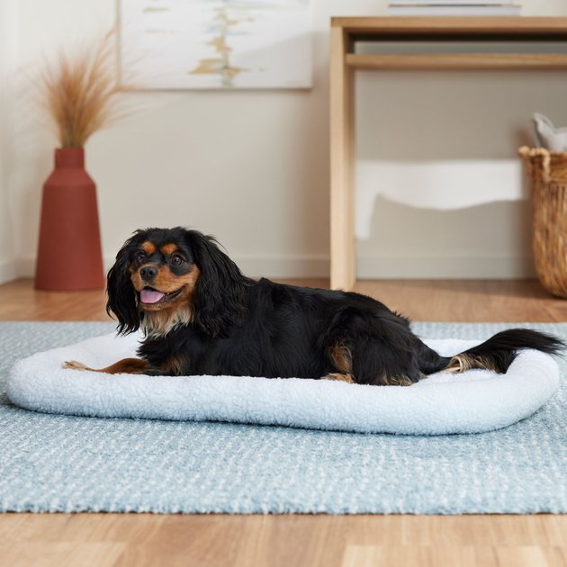 Frisco Quilted Fleece Pet Bed & Crate Mat, Ivory, 36-in - Chewy.com