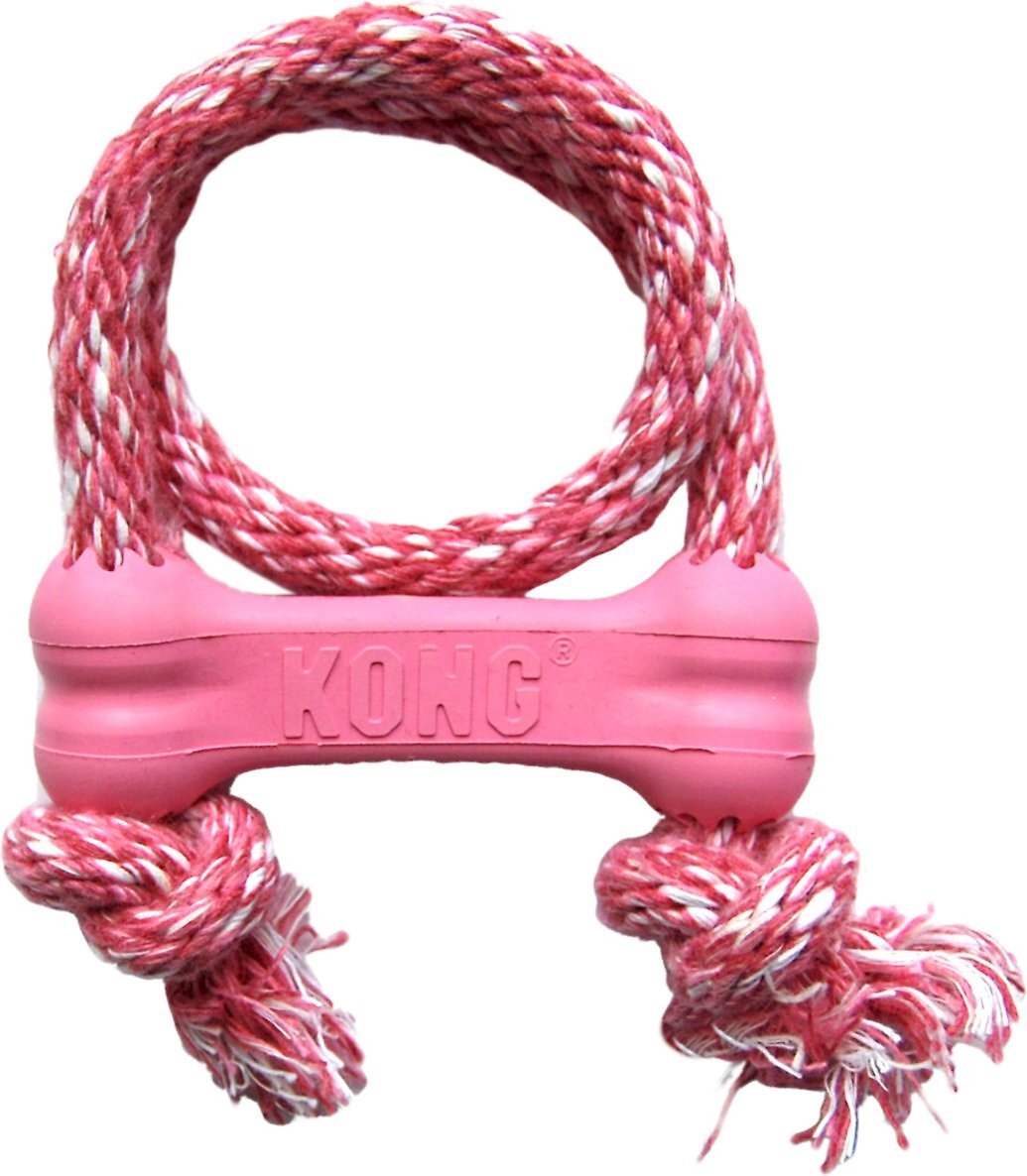 loyaliteit toezicht houden op Implementeren KONG Puppy Goodie Bone with Rope Dog Toy, Color Varies - Chewy.com