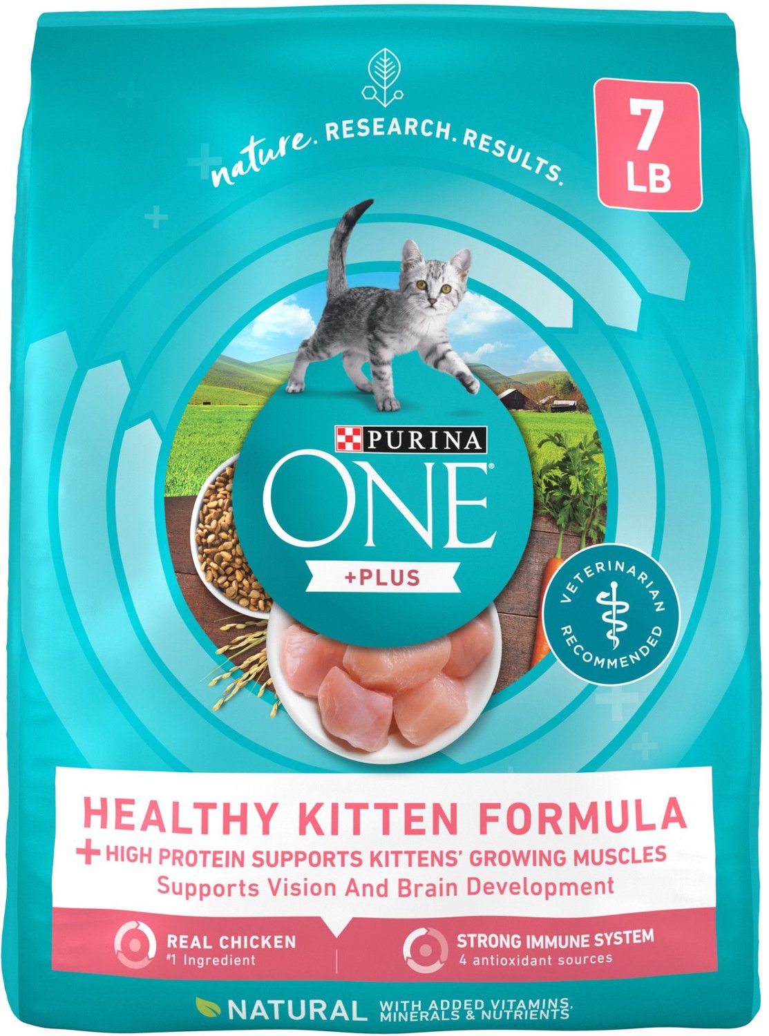 Chewy Purina One Kitten Food