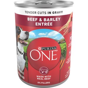 Purina ONE SmartBlend Tender Cuts in Gravy Beef & Barley Entree Adult Canned Dog Food, 13-oz, case of 12