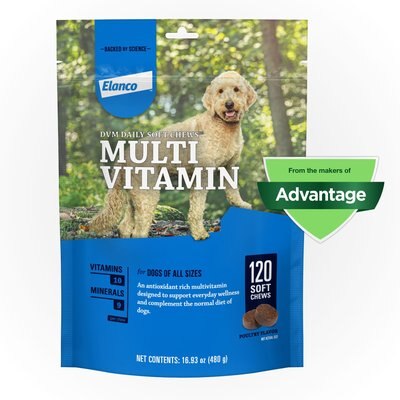 DVM Daily Soft Chews Multi Vitamin for Dogs, slide 1 of 1