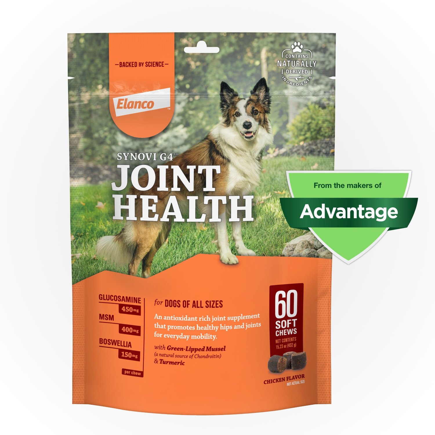 dog joint health chews
