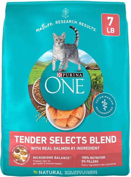 Purina ONE Tender Selects Blend with Real Salmon Dry Cat Food, 7-lb bag slide 1 of 12