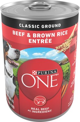 Purina ONE SmartBlend Classic Ground Beef & Brown Rice Entree Adult Canned Dog Food, slide 1 of 1