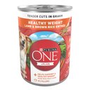 Purina ONE SmartBlend Tender Cuts in Gravy Lamb & Brown Rice Entree Adult Canned Dog Food, 13-oz, case of 12