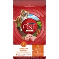 Purina ONE Natural Weight Control +Plus Healthy Weight Formula Dry Dog Food, 8-lb bag