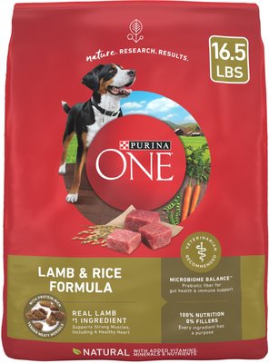 Purina ONE Natural SmartBlend Lamb & Rice Formula Dry Dog Food, slide 1 of 1