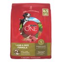 Purina ONE SmartBlend Lamb & Rice Adult Formula Dry Dog Food, 16.5-lb bag