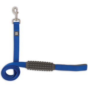 Dogzilla Nylon City Dog Leash, Blue, Large: 6-ft long, 1-in wide