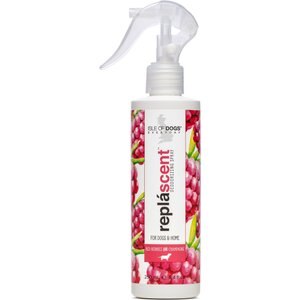 Isle of Dogs Red Berries + Champagne Replascent Odor Spray, 8-oz bottle