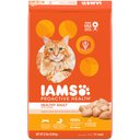 Iams ProActive Health Healthy Adult Original with Chicken Dry Cat Food, 22-lb bag
