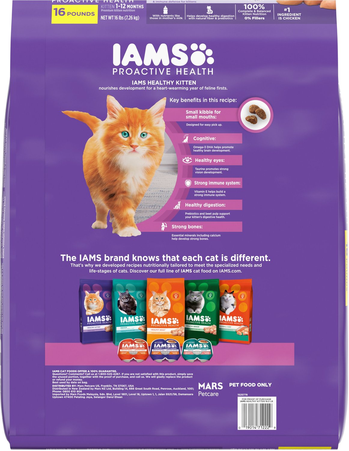 IAMS ProActive Health Kitten Dry Cat Food, 16lb bag