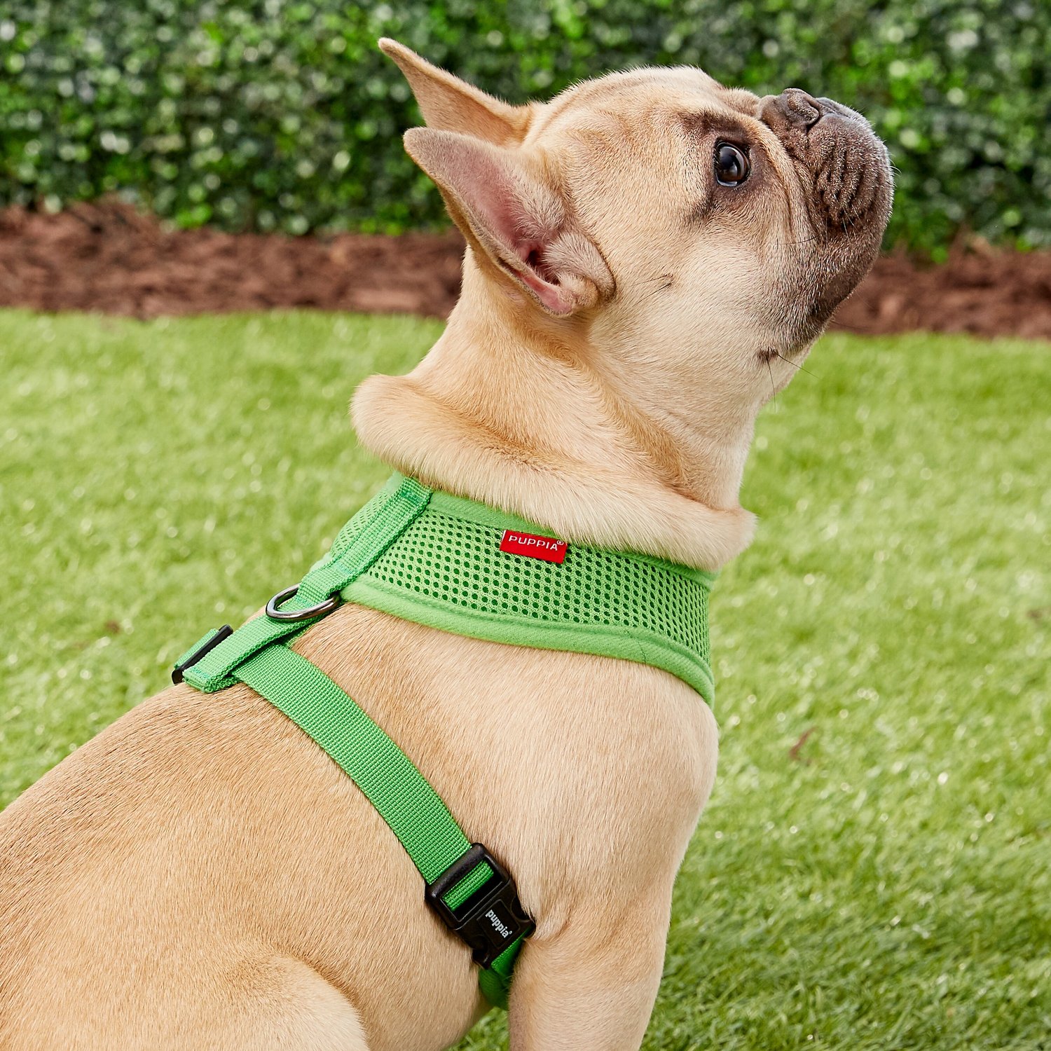 Puppia Soft Dog Harness, Green, Medium
