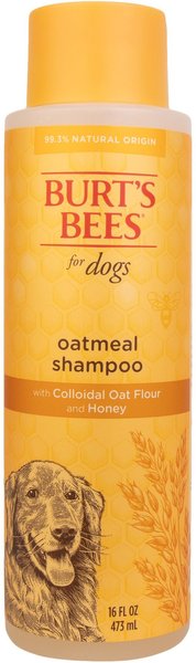 Burt's Bees Oatmeal Shampoo with Colloidal Oat Flour & Honey for Dogs, 16-oz bottle slide 1 of 11