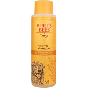 Burt's Bees Oatmeal Shampoo with Colloidal Oat Flour & Honey for Dogs, 16-oz bottle