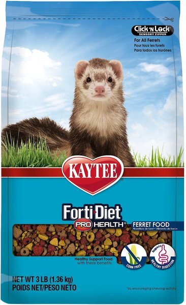 Kaytee Forti-Diet Pro Health Ferret Food, 3-lb bag slide 1 of 6