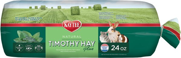 Kaytee Timothy Hay Plus Mint Small Animal Food, 24-oz bag slide 1 of 10
